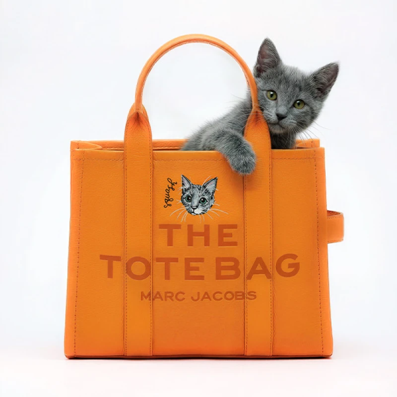 Bark Jacobs: BFF on board with Marc Jacobs pet accessories