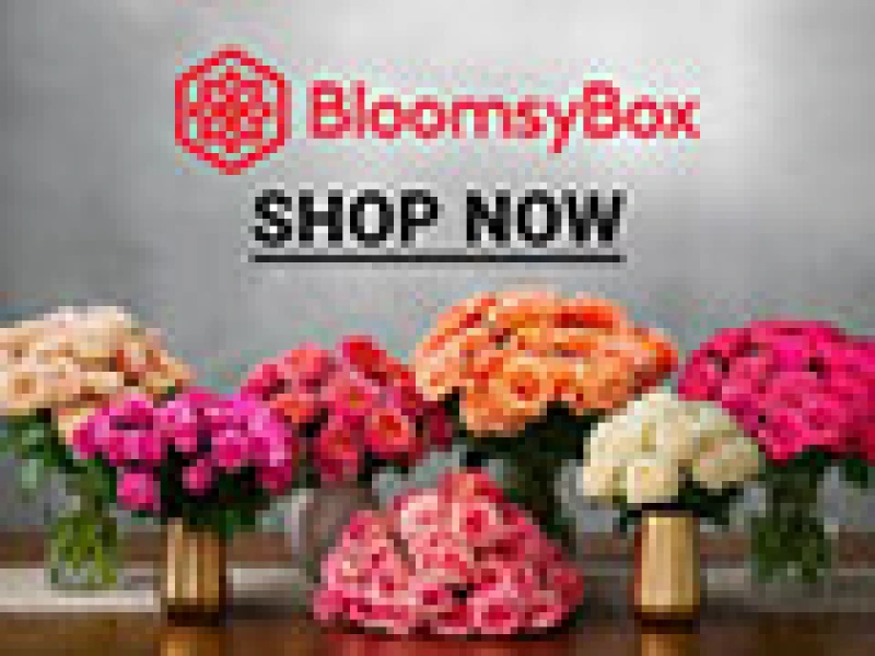 Not just roses: discover the full flower range at BloomsyBox