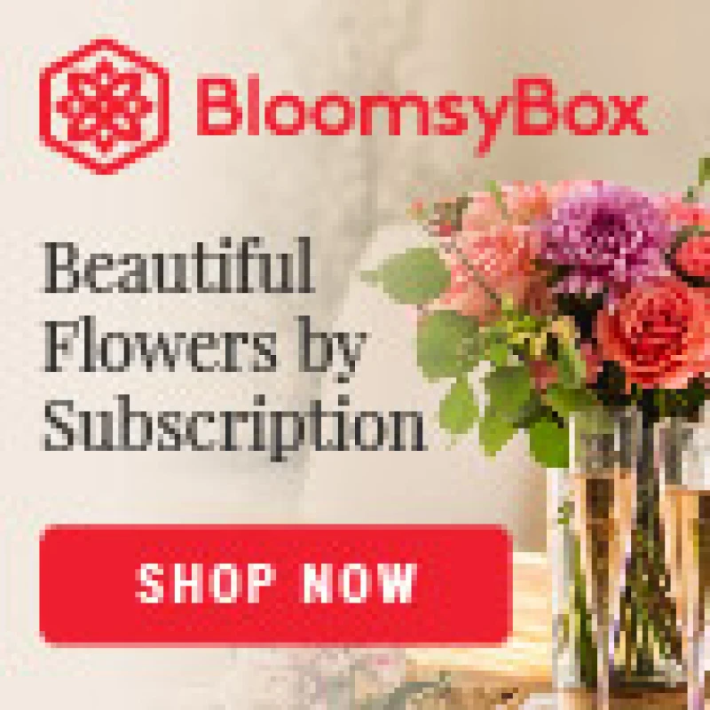 Heartfelt gifts: beautiful flowers by subscription from BloomsyBox