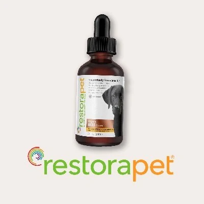 Unlock Discounts for Pet Health