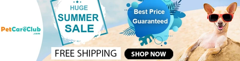 Super Summer Sale