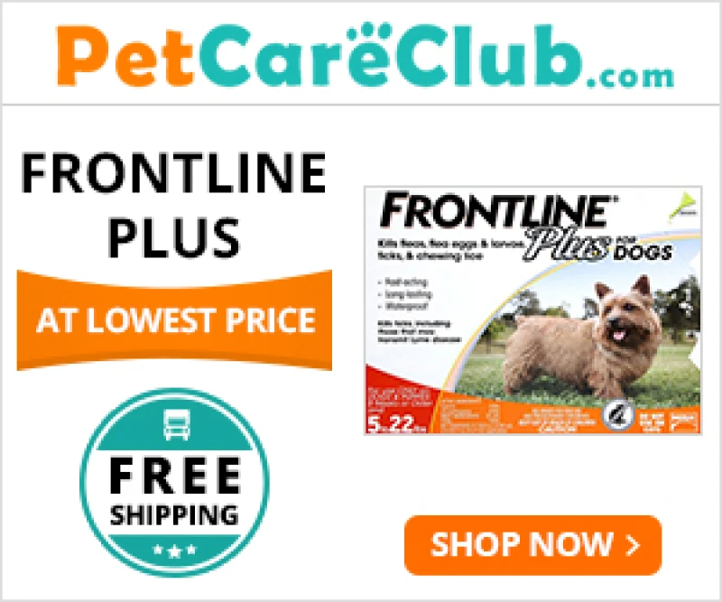Frontline Plus 1