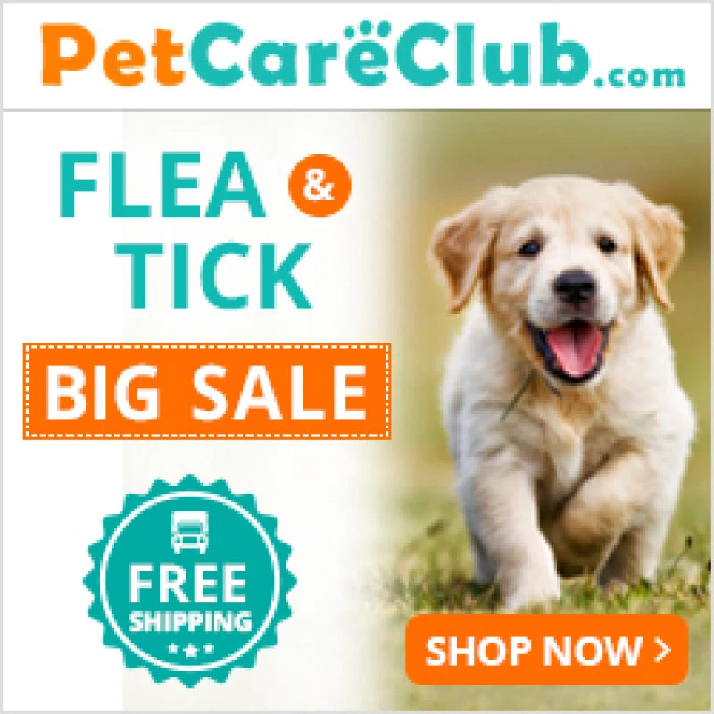 Flea and Tick 1
